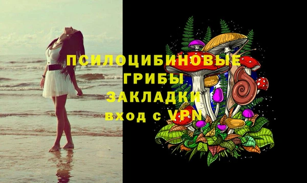 соль ск Гусь-Хрустальный