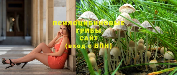 крисы Гусиноозёрск