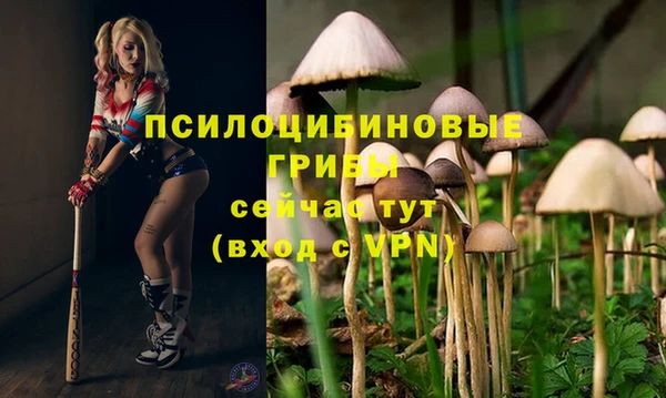 не бодяженный Гусев
