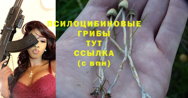 не бодяженный Гусев