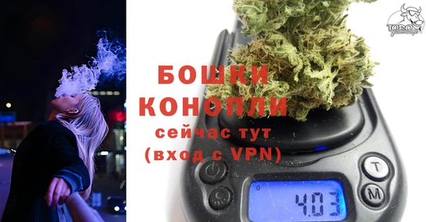 не бодяженный Гусев