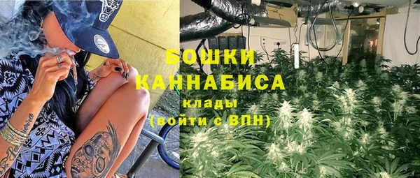 крисы Гусиноозёрск