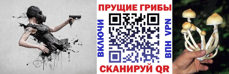 даркнет сайт  кракен как зайти  Псилоцибиновые грибы Cubensis  Дубовка 